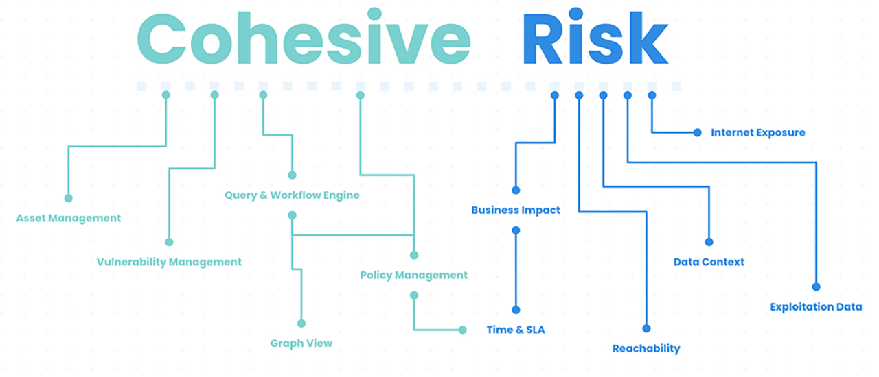 Cohesive AppSec Risk Management