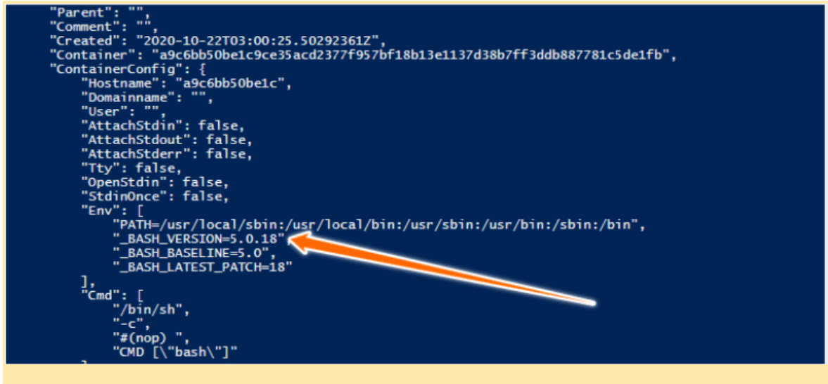 Output of running docker inspect command to check image version